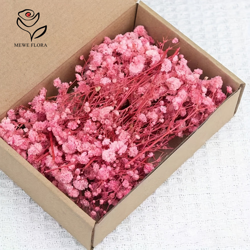 Dried Flower Bouquet - 카드 만들기 DIY 공예 미니 안개꽃
