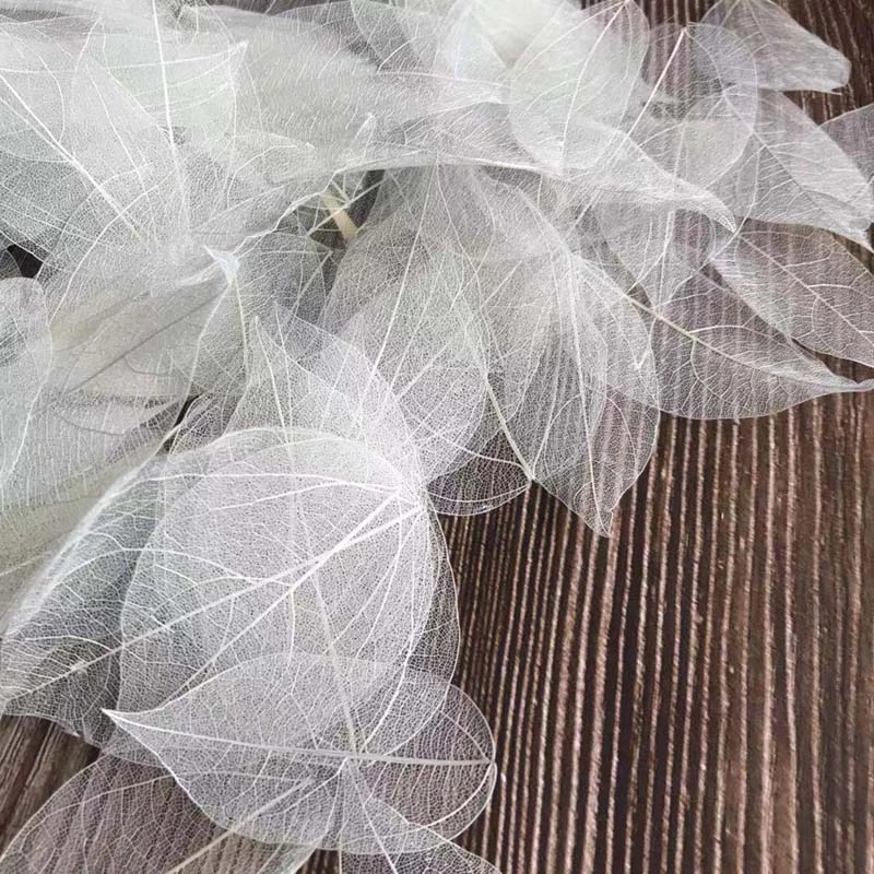 5~9CM*2~3.5CM, 100개/세트, 진짜 건조된 - Dried Flower Bouquet 리뷰 및 가격