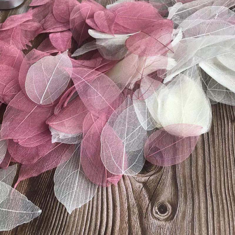 5~9CM*2~3.5CM, 100개/세트, 진짜 건조된 - Dried Flower Bouquet 리뷰 및 가격