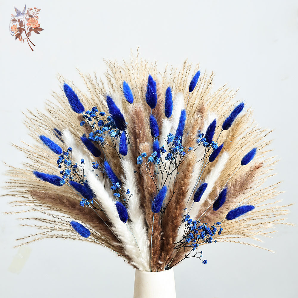 70 줄기 블루 푹신한 토끼 꼬리 팜파스 잔디 묶음 말 - Dried Flower Bouquet 리뷰 및 가격