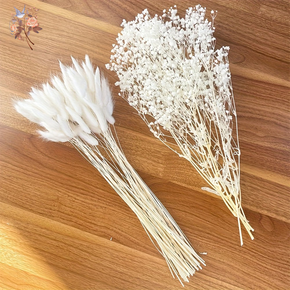 54Pcs 흰색 말린 꽃 신부 Mariage 꽃다발 자 - Dried Flower Bouquet 리뷰 및 가격