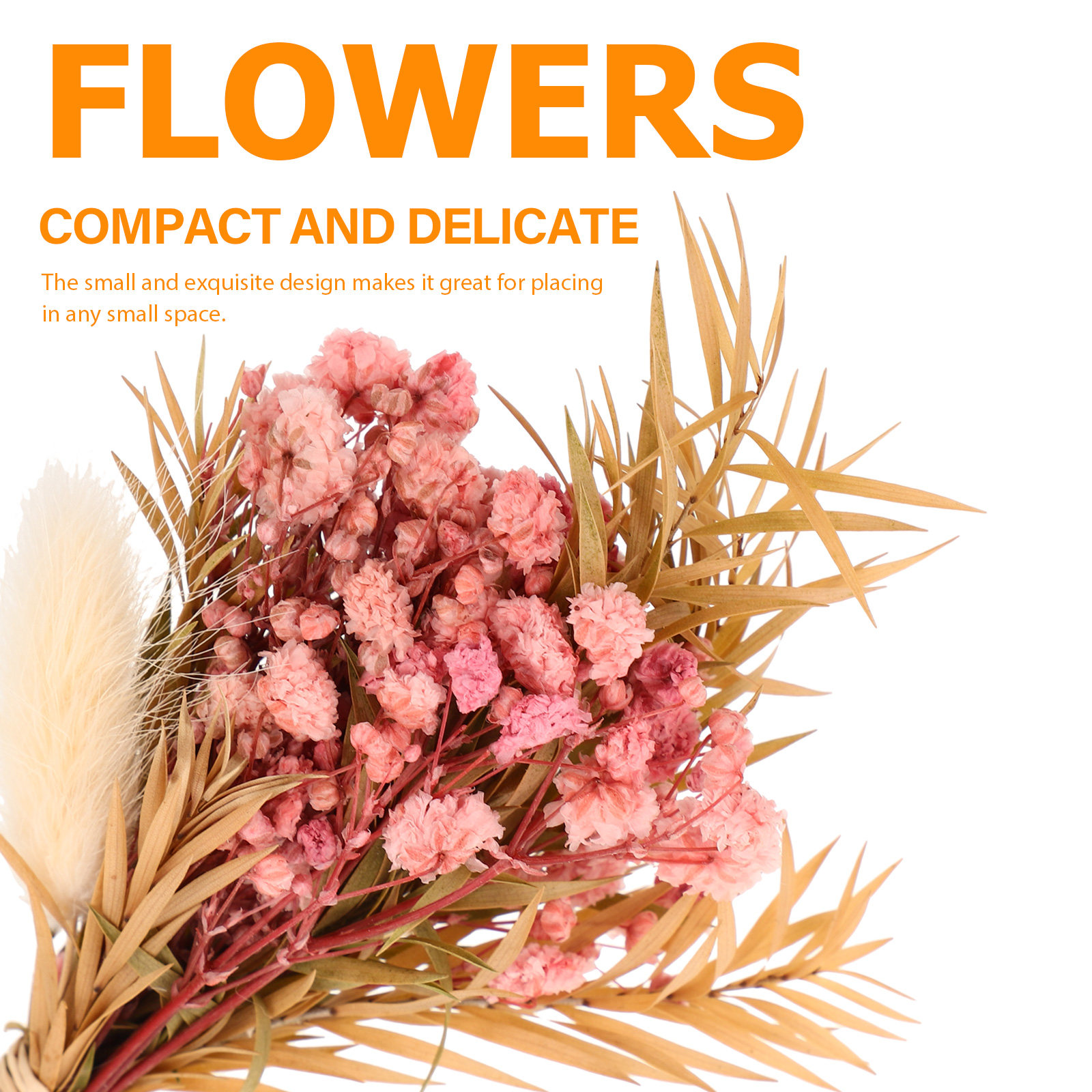 3개 미니 드라이플라워 부케, 자연스러운 작은 드라이플 - Dried Flower Bouquet 리뷰 및 가격