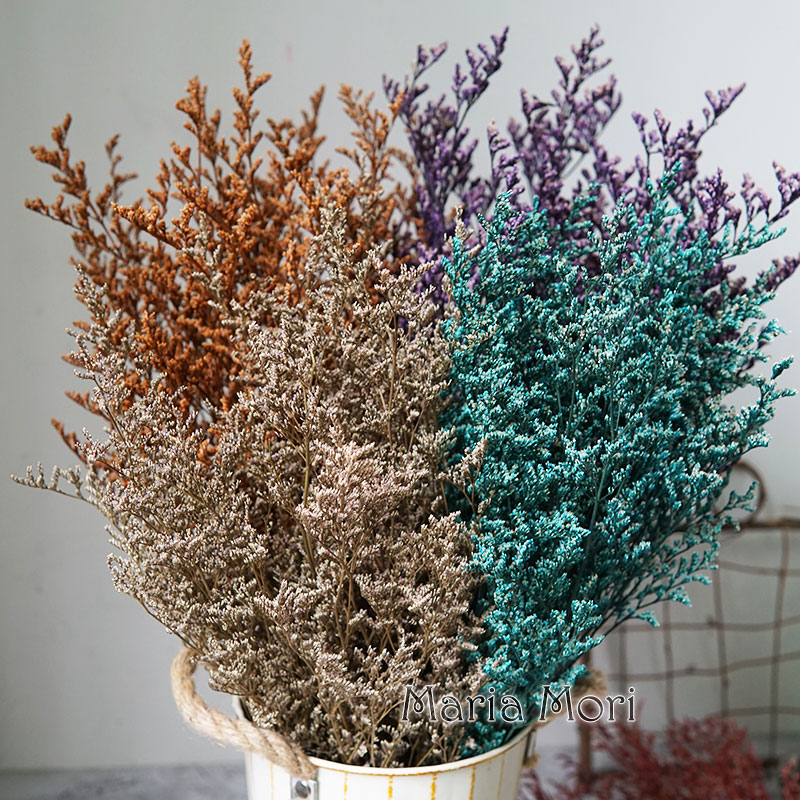 50g/보존된 발렌타인 그래스 리모니움 꽃 연인의 꽃꽂 - Dried Flower Bouquet 리뷰 및 가격