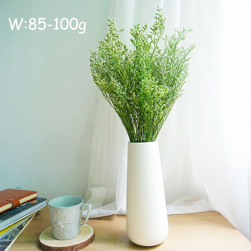 50g/보존된 발렌타인 그래스 리모니움 꽃 연인의 꽃꽂 - Dried Flower Bouquet 리뷰 및 가격