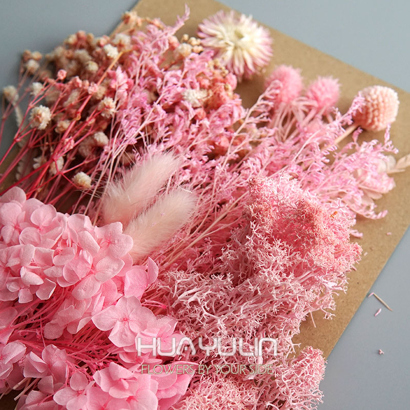 1 팩 인공 식물 말린 진짜 꽃 보존 재료 에폭시 수지 - Dried Flower Bouquet 리뷰 및 가격