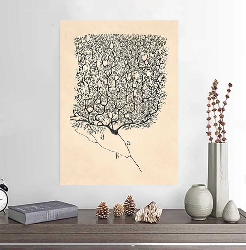 산티아고 라몬 이 카잘 뉴런 드로잉 빈티지 포스터 뇌  - Watercolor Poster Print 리뷰 및 가격