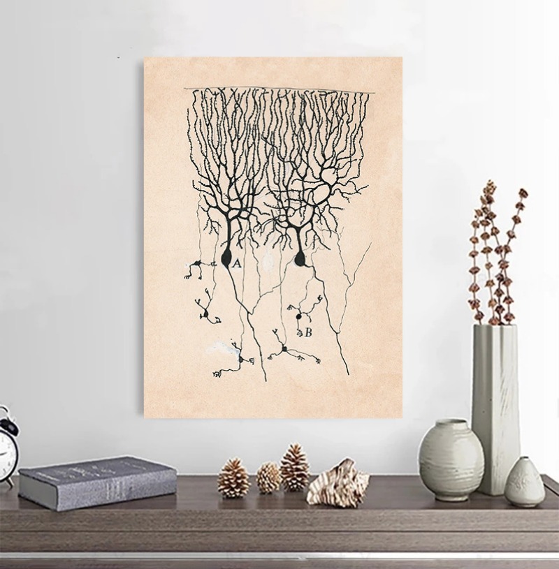 산티아고 라몬 이 카잘 뉴런 드로잉 빈티지 포스터 뇌  - Watercolor Poster Print 리뷰 및 가격