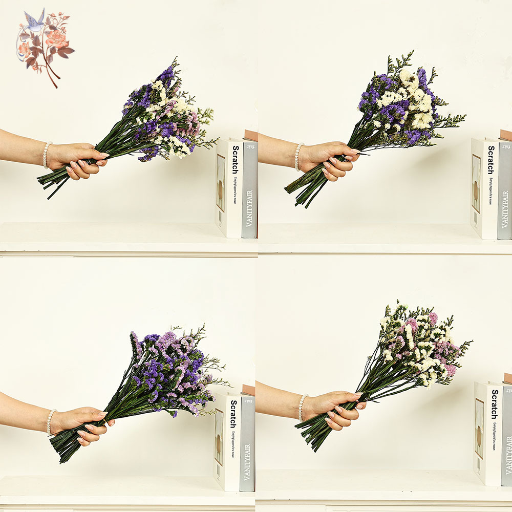 100g 천연 진짜 물망초 꽃 꽃다발 믹스 리모니엄 잔 - Dried Flower Bouquet 리뷰 및 가격