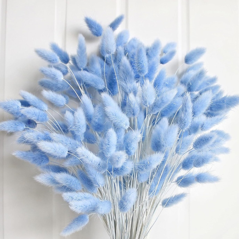 100PCS 블루 토끼 꼬리 잔디 토끼 꼬리 홈 룸 생 - Dried Flower Bouquet 리뷰 및 가격