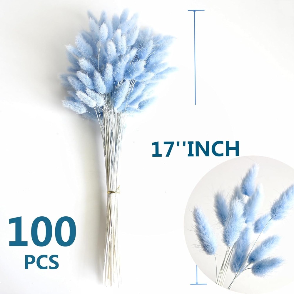 100PCS 블루 토끼 꼬리 잔디 토끼 꼬리 홈 룸 생 - Dried Flower Bouquet 리뷰 및 가격